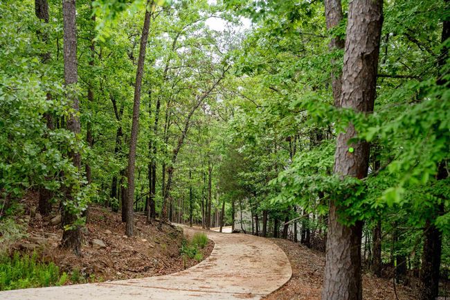 31 Farris Lndg, House other with 4 bedrooms, 3 bathrooms and null parking in Quitman AR | Image 45