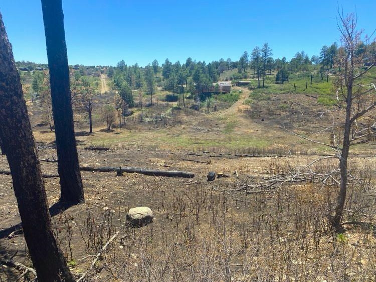 Land in Timberon 4
