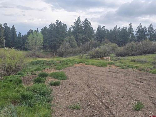 634 Cactus Dr, Pagosa Springs, CO, 81147 | Card Image