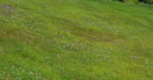 4966 Main St S, Newbury, VT, 05051 | Card Image