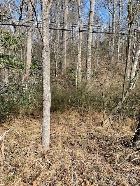 Land in Old Fort 5