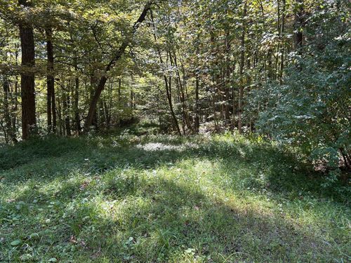Lot 4 Possum Hollow Rd, Terra Alta, WV, 26764 | Card Image
