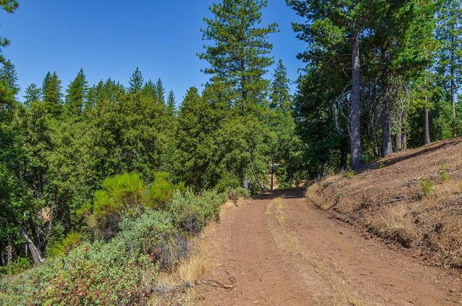 16688 Sonshine Ln, Home with 0 bedrooms, 0 bathrooms and null parking in Sutter Creek CA | Image 22