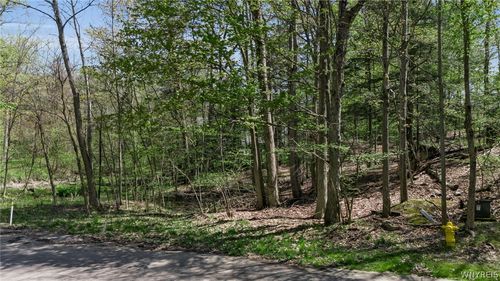 VL Middlebury 2, Orchard Park, NY, 14127 | Card Image