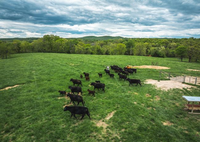 DJI_20250505142519_0081_D | Image 27