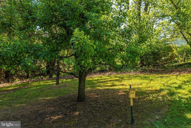 9632 Harmony Rd, House other with 3 bedrooms, 2 bathrooms and null parking in MYERSVILLE MD | Image 43