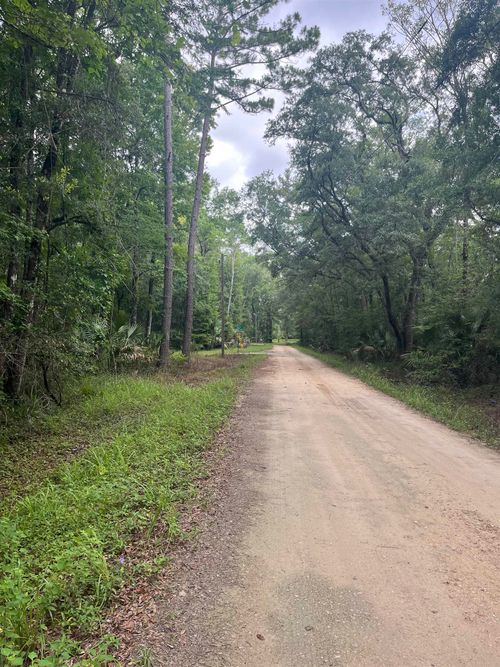 Lots 18 & 19 Owl Lane, CRAWFORDVILLE, FL, 32327 | Card Image