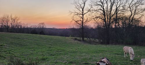 1 Haley Rd, College Grove, TN, 37046 | Card Image