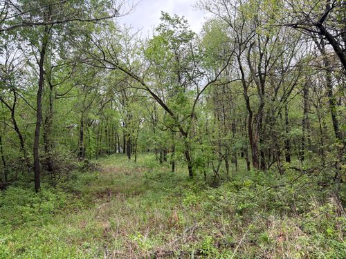 XXX Ivy Rd, Carthage, MO, 64836 | Card Image