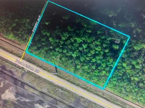 579 Perry Ave, Bunnell, FL, 32110 | Card Image