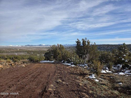 10 Co Road, Vernon, AZ, 85940 | Card Image