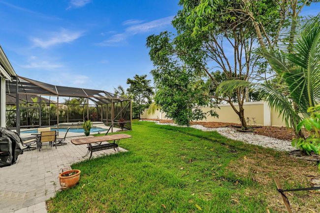 backyard view | Image 42