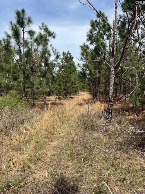 BDF 6 Beaverdam Road, Cassatt, SC, 29032 | Card Image