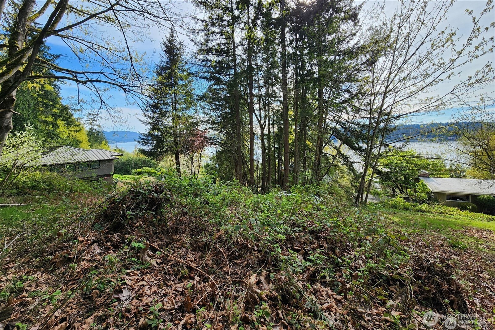 Land in Sammamish 2
