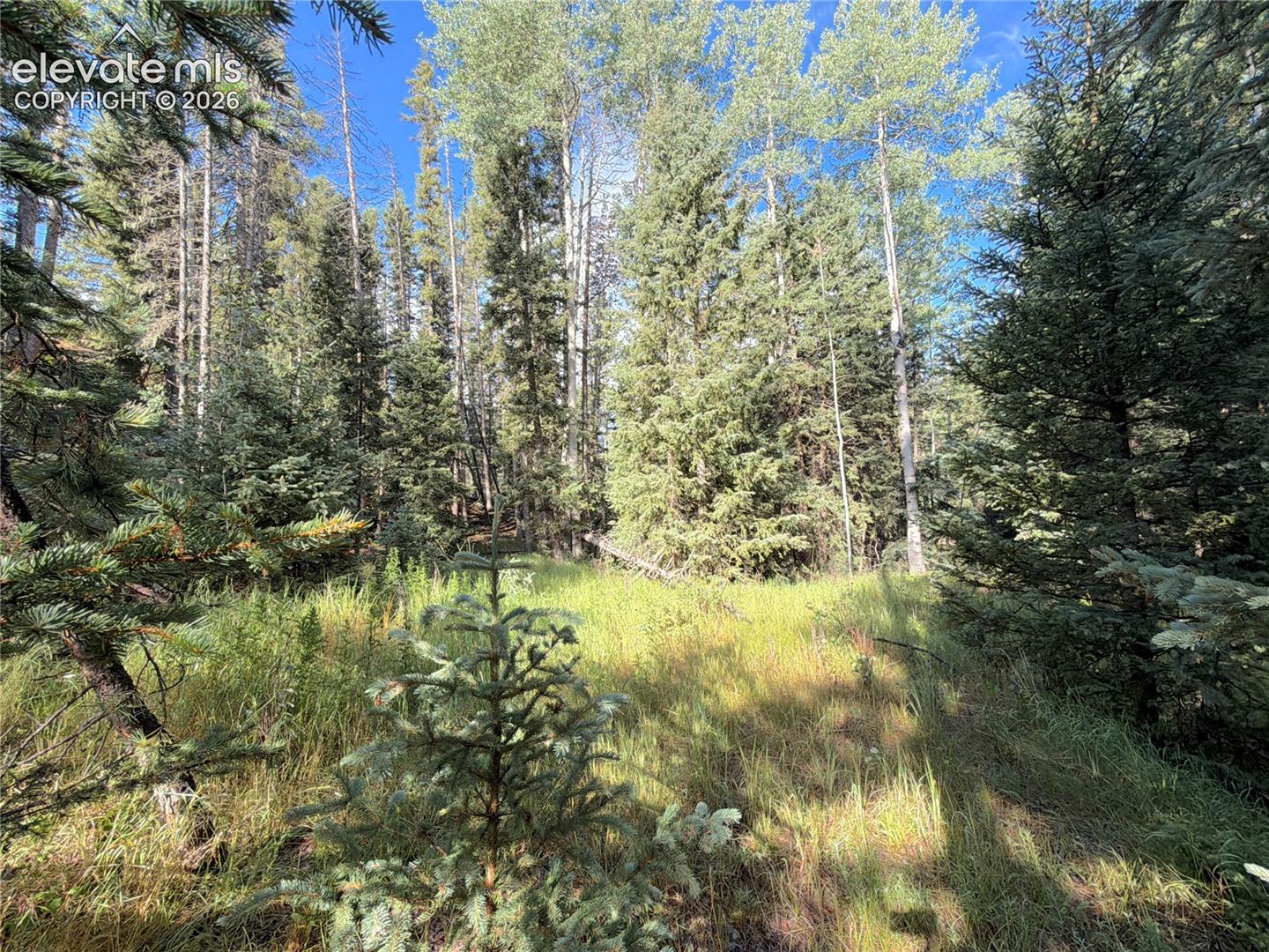 Land in Florissant 4