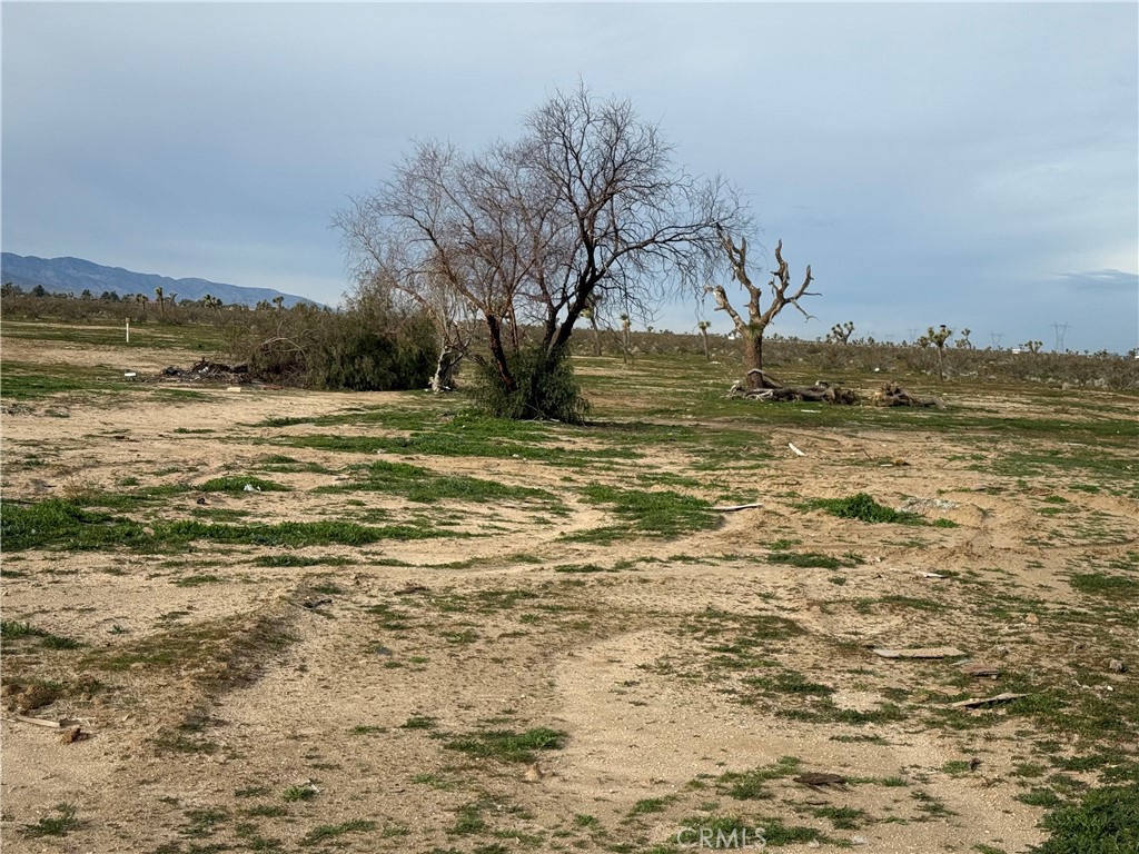 Land in Phelan 5