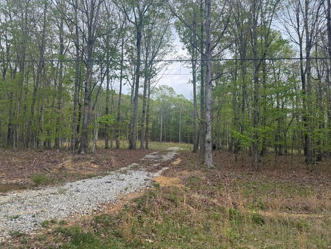 0 Deerwood Dr, Home with 0 bedrooms, 0 bathrooms and null parking in Sewanee TN | Image 4