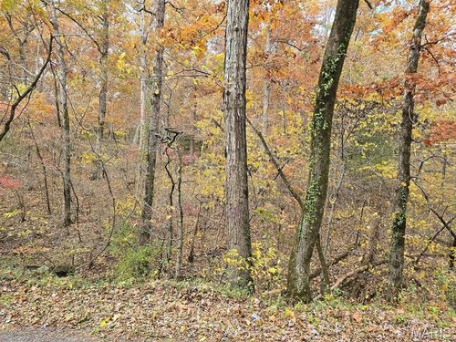 000 Mineral Drive Lot 3, Houston, MO, 65483 | Card Image
