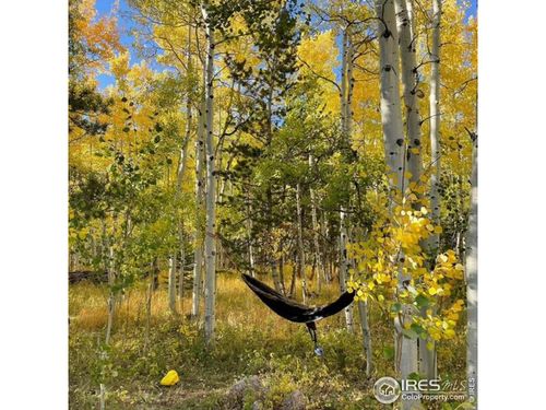 28 Nonami Ct, Red Feather Lakes, CO, 80545-8604 | Card Image