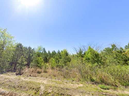 0 Brisson Road, St. Pauls, NC, 28384 | Card Image