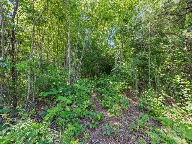 00 Ashe Loop Rd, Home with 0 bedrooms, 0 bathrooms and null parking in Sylva NC | Image 9