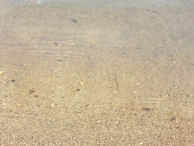 Sandy Swimming Area.jpg | Image 16