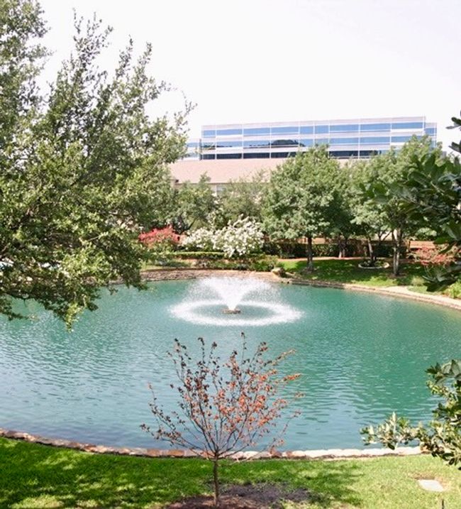 Water view | Image 22