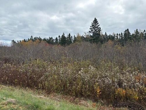 0 Boot Cove Road, Lubec, ME, 04652 | Card Image