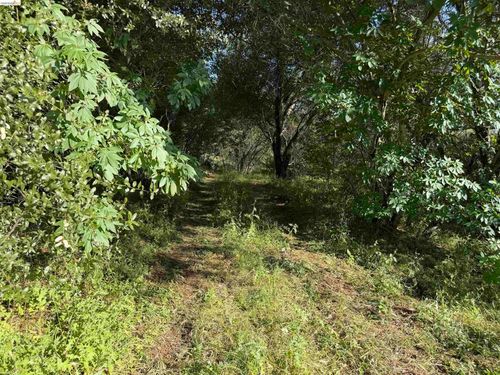 4320 Usona Rd, Mariposa, CA, 95338 | Card Image