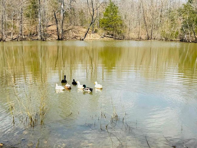 3912 Ar 354 Hwy, House other with 3 bedrooms, 2 bathrooms and null parking in Oxford AR | Image 18