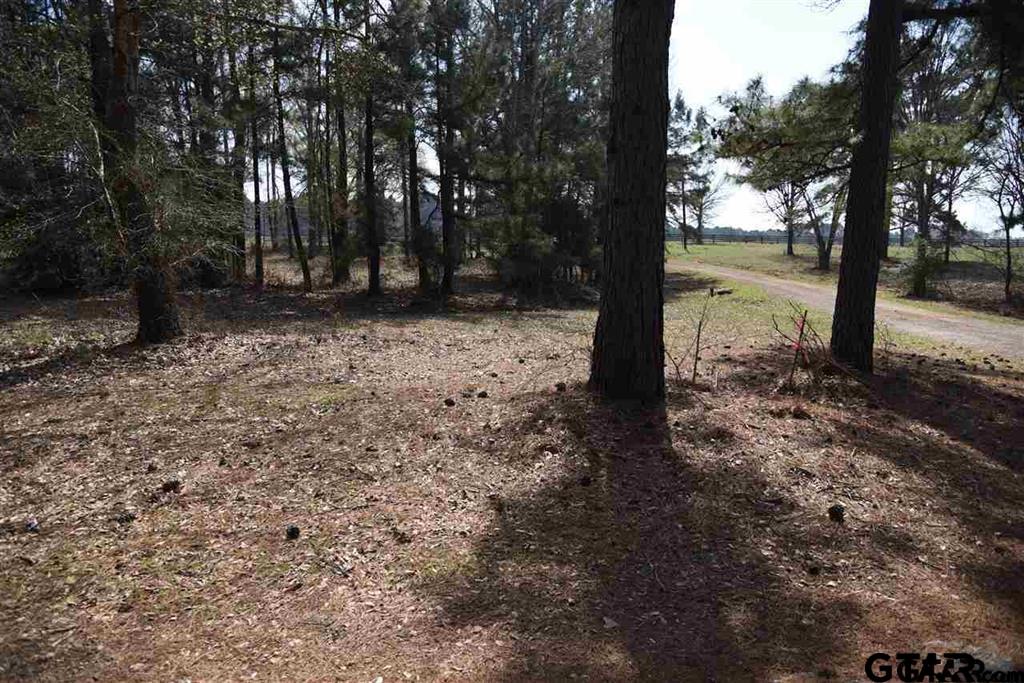 Land in Montalba 5