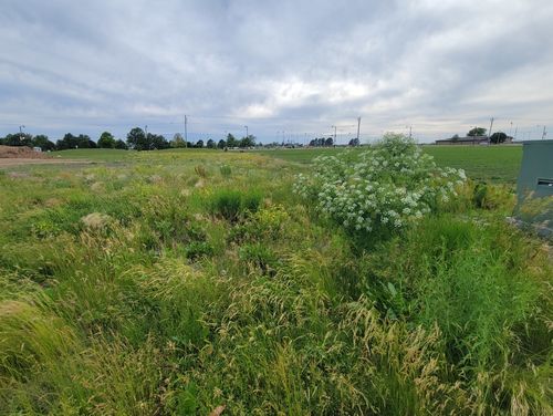 16 Pointe Blvd, Peru, IL, 61354-1025 | Card Image
