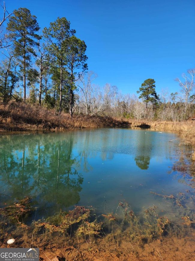 9474 Broad St, Home with 0 bedrooms, 0 bathrooms and null parking in Avera GA | Image 31