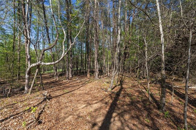 Wooded Trail | Image 38