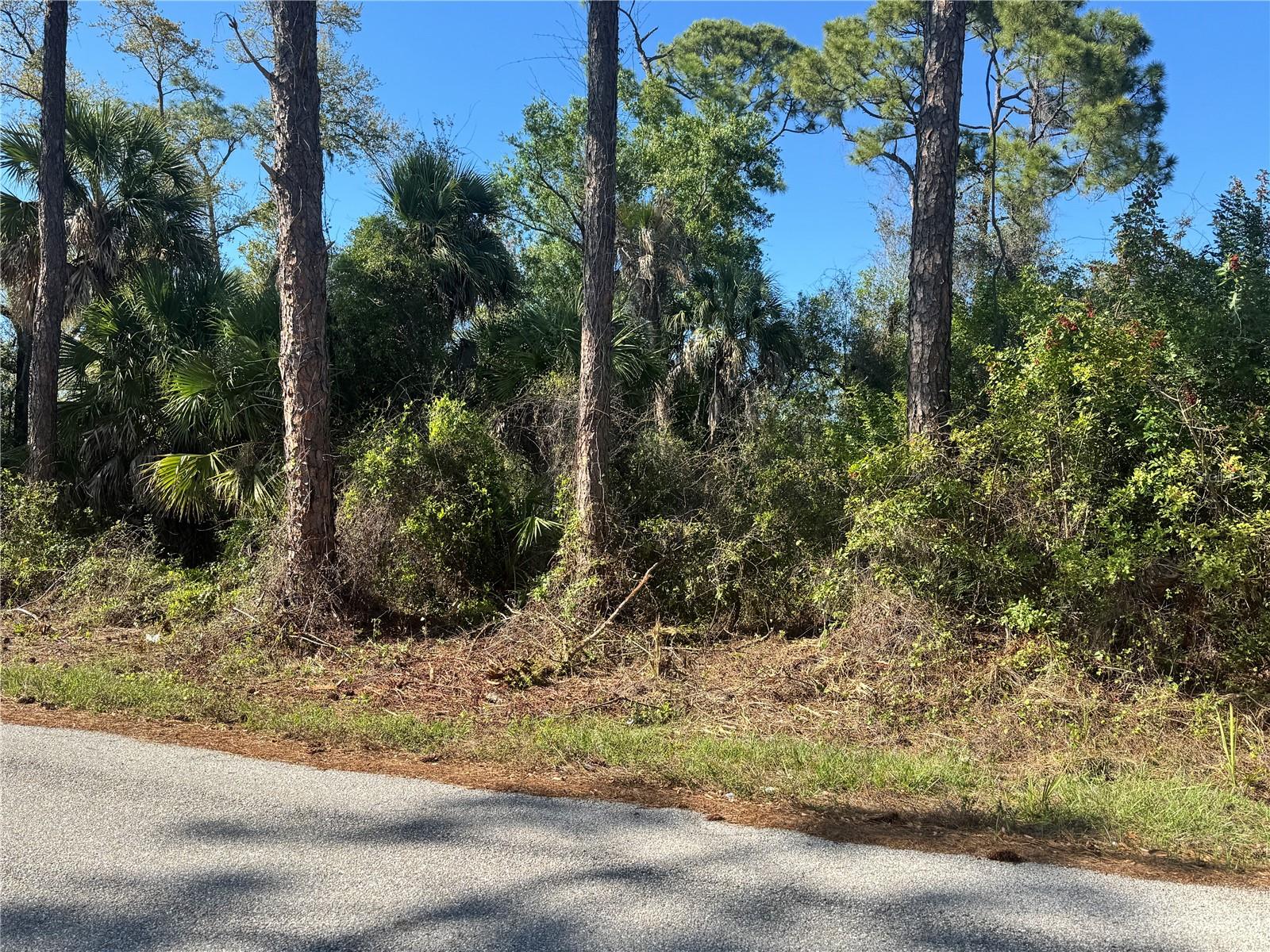 Land in PORT CHARLOTTE