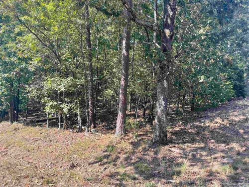 Lot 1 Valhalla Drive, Edgemont, AR, 72067 | Card Image