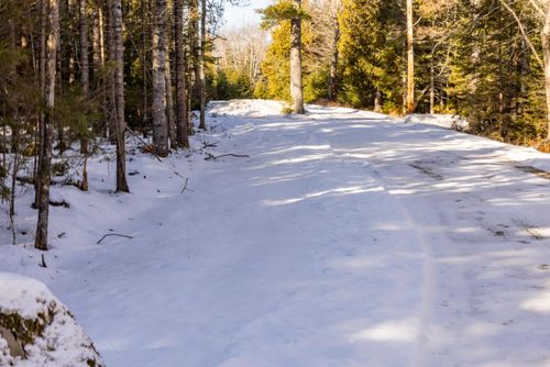 104 Forest Hill, Surry, ME, 04684 | Card Image