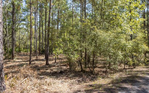 TBD Se 194th Ln, White Springs, FL, 32096 | Card Image