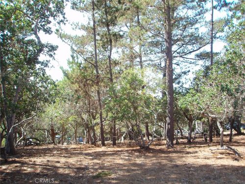 1865 Dreydon Ave, Cambria, CA, 93428-5745 | Card Image