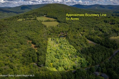 0 Joe Todd Road Spur, Fleischmanns, NY, 12430 | Card Image