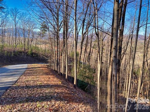 Lot 114 High Pines Loop, Lake Lure, NC, 28746 | Card Image