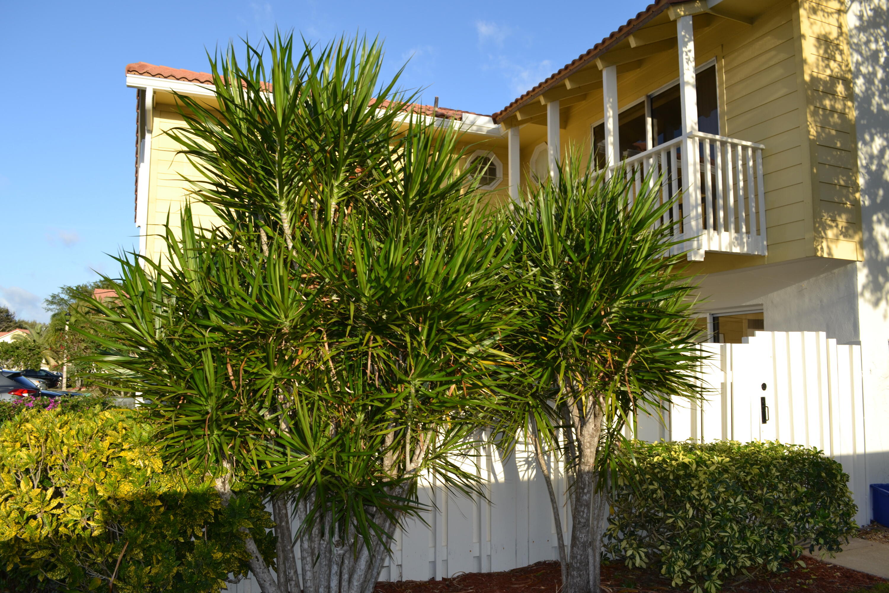 Residential Lease in Jupiter 3
