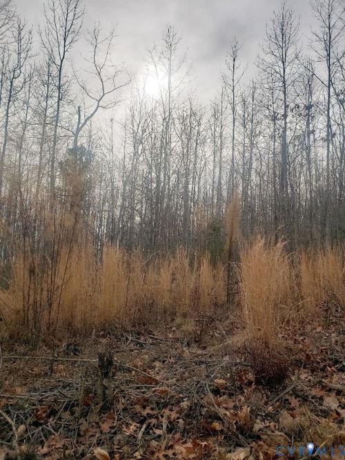 Lot 14 Mountain Creek Rd, Green Bay, VA, 23942 | Card Image