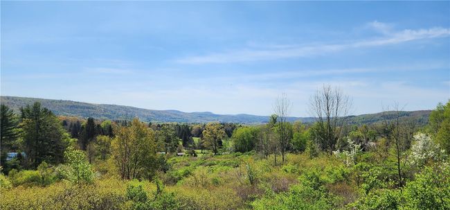 lot 30 Algerine Street, Home with 0 bedrooms, 0 bathrooms and null parking in Afton NY | Image 13