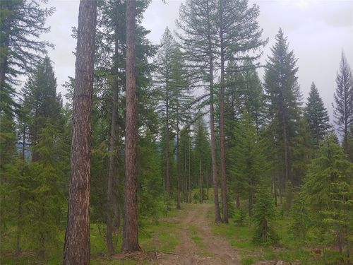 NHN Off-Styler Drive, Condon, MT, 59826 | Card Image