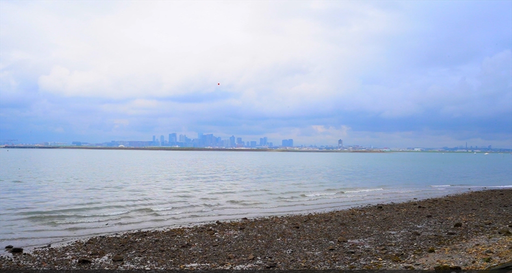 Grand View Ave, Winthrop, MA 02152
