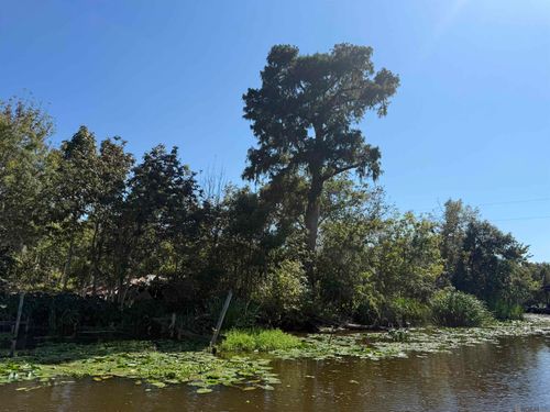 660 Alligator Bayou (By Boat), Reserve, LA, 70449 | Card Image