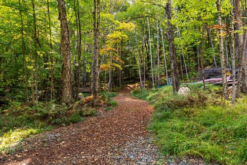 738 Harp Lake Rd, Huntsville, ON, P1H2J6 | Card Image