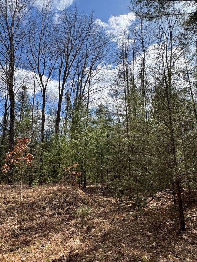 4233 Hardacre Trl, Home with 0 bedrooms, 0 bathrooms and null parking in Houghton Lake MI | Image 11