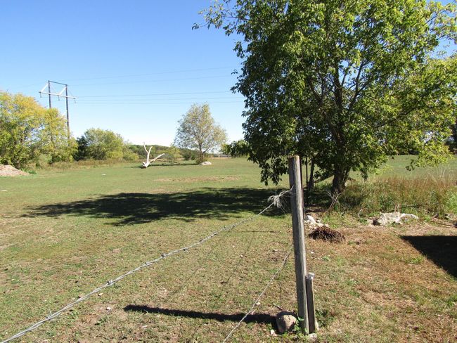 Pasture | Image 16